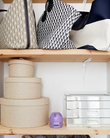 HUMYDRY® Mini 2.6oz. Moisture Absorber & Air Freshener, Lavender Scent